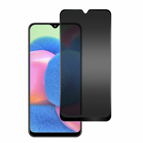 قیمت گلس پرایوسی A30s