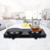 Green Lion Portable Dual Electric Stove