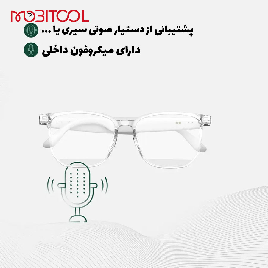 Green Lion Hamburg Smart Glasses Green Lion Hamburg Smart Glasses
