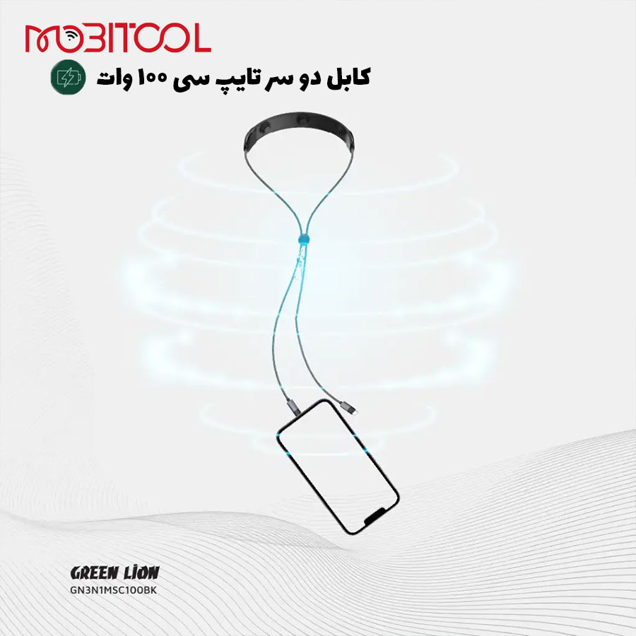 Green Lion 3 in 1 Massager Cable PD 100W