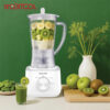Green Lion Jet Blend Juice Blender 650W