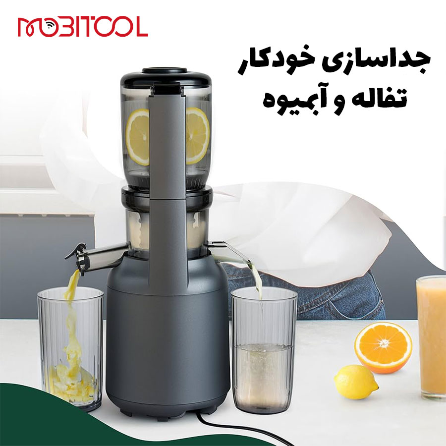slow juicer green lion